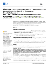 BelloStage™-3000 Bioreactor Versus Conventional Cultivation of Recombinant Capripoxvirus Expressing <i>Brucella</i> Antigens in Vero Cells: A Step Towards the Development of a New Human Brucellosis Vaccine